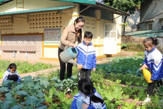 Quy định về dạy thêm tiếng Anh với giáo viên tự do