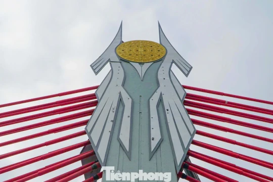 Cầu dây văng trăm tỷ đồng đầu tiên ở Thanh Hóa sắp thông xe kỹ thuật