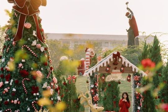 Trường đại học rực rỡ mùa Noel