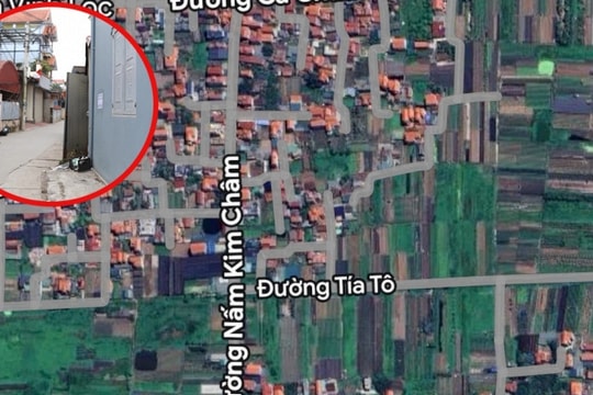 Xôn xao đường ở Hà Nội đặt tên Cà Chua, Hành Tây, Nấm Kim Châm: Sự thật bất ngờ