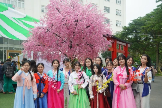 Sôi động ngày hội trải nghiệm văn hóa Hàn Quốc của học sinh sinh viên Đà Nẵng