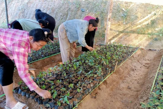 GDNN Điện Biên: Từ kết quả đào tạo đến định hướng phát triển giai đoạn mới