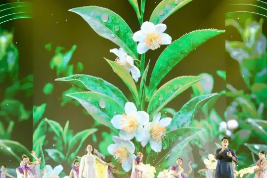 Thái Nguyên lan tỏa hương sắc danh trà