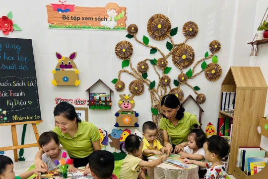 Nửa thế kỷ vun trồng những ‘mầm xanh’ đầu đời