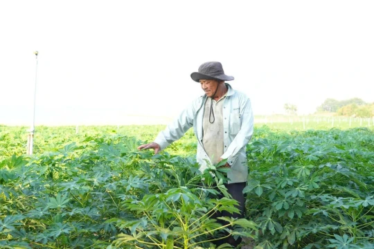 Cử nhân nông nghiệp 4.0: Khi 'tấm bằng đỏ' không ngại chân lấm tay bùn