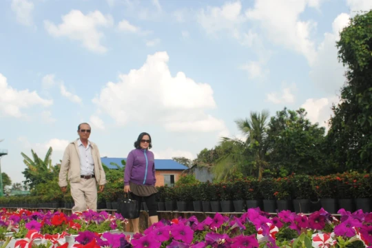 Khai mạc Festival Hoa - Kiểng Sa Đéc lần thứ II