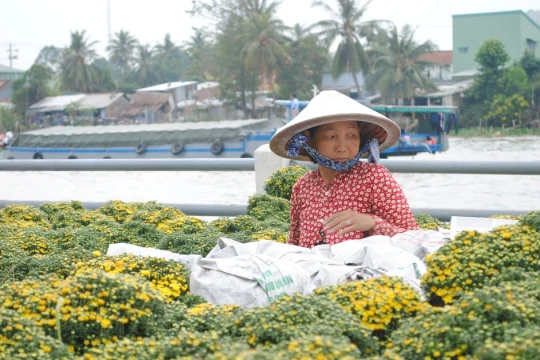 Nghề trồng hoa kiểng Sa Đéc trở thành Di sản văn hóa phi vật thể quốc gia