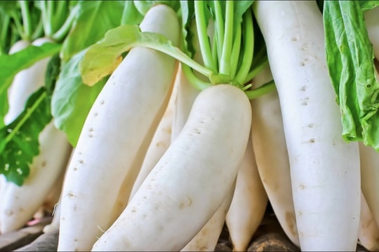 Loại củ dân dã được ví như “nhân sâm mùa đông”