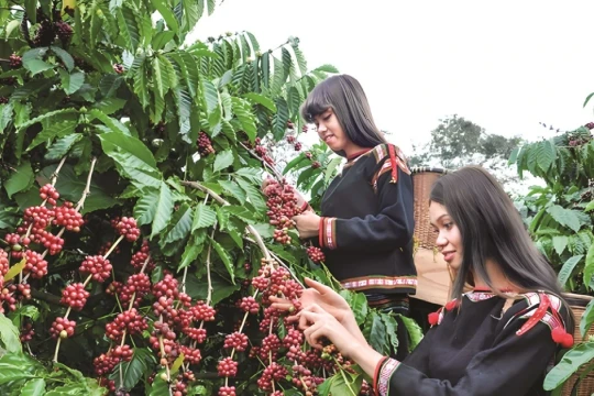 Không ‘địa phương hóa’ di sản khi xây dựng hồ sơ UNESCO