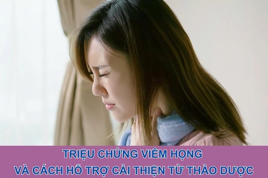 Triệu chứng viêm họng và cách hỗ trợ cải thiện từ thảo dược