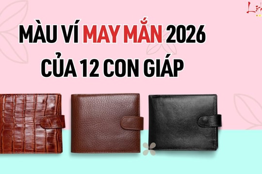 MÀU ví may mắn năm 2026 của 12 con giáp - Đổi ví đổi VẬN tiền về ào ào