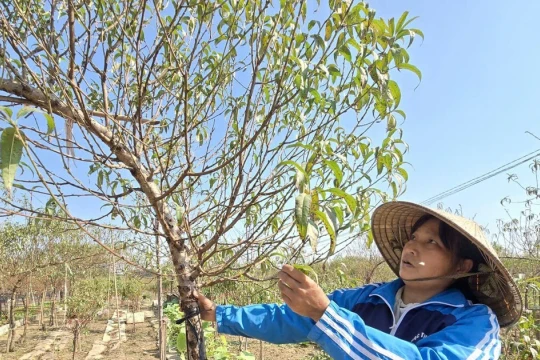 Trục đại lộ cảnh quan sông Hồng: Chỗ đứng nào cho làng nghề truyền thống?