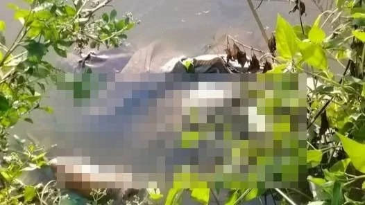 Lời khai của nghi phạm sát hại bé gái 13 tuổi ở Cà Mau