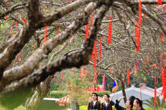 Phú Thọ thu hơn 310 tỷ đồng từ du lịch trong 4 ngày nghỉ Tết Dương lịch