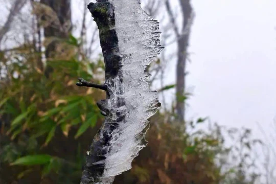 Băng giá phủ trắng đỉnh Phja Oắc