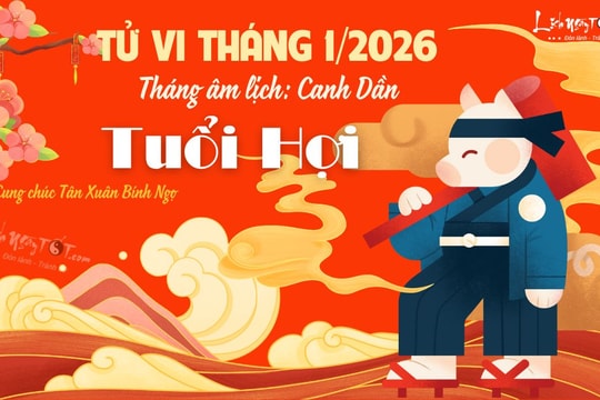 Tử vi tháng 1/2026 tuổi Hợi âm lịch: Đón luồng sinh khí mới đầy rạng rỡ
