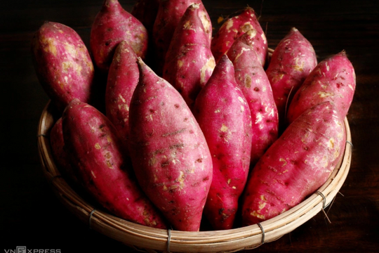 5 thực phẩm giàu vitamin E nên ăn hàng ngày