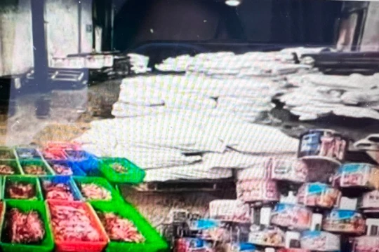 Khởi tố vụ án dùng thịt lợn nhiễm dịch tả làm đồ hộp ở Hải Phòng