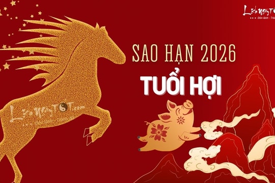 Sao hạn tuổi Hợi năm 2026 cho tất cả các nạp âm Đinh Hợi, Ất Hợi, Quý Hợi, Tân Hợi và Kỷ Hợi