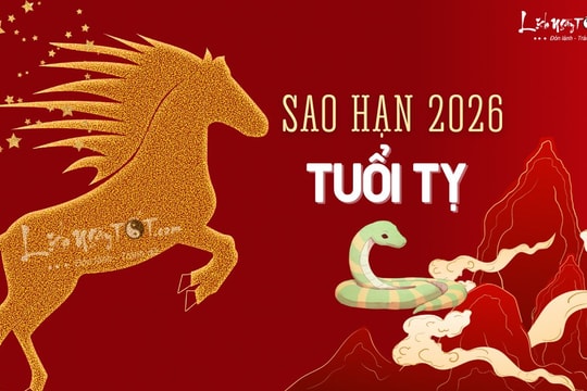 Sao hạn tuổi Tỵ năm 2026 chi tiết cho các tuổi Ất Tỵ, Kỷ Tỵ, Quý Tỵ, Tân Tỵ và Đinh Tỵ