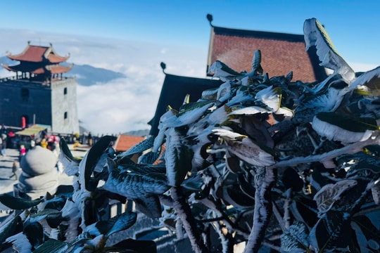 Sáng nay đỉnh Fansipan xuất hiện băng tuyết