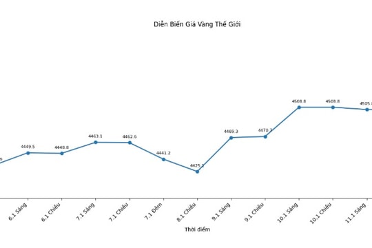 Giá vàng hôm nay 12/1: Vàng trong nước tăng bứt phá