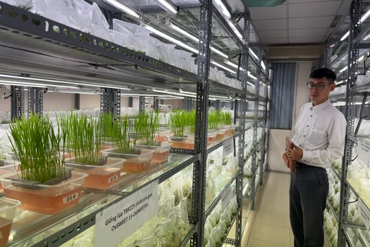 Khoa học công nghệ dẫn dắt nông nghiệp Việt Nam vượt “giới hạn” tăng trưởng truyền thống