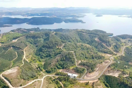 Thu hồi toàn bộ 3.600 ha đất cấp cho dự án Sài Gòn Đại Ninh