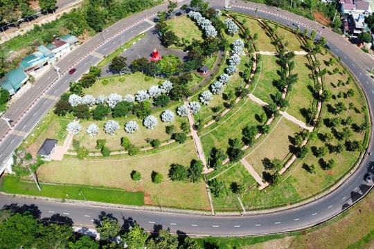 Đề nghị truy tố Chủ tịch HĐQT Công ty cây xanh Công Minh