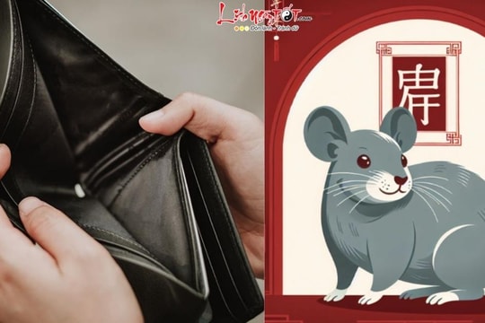 Năm 2026, nhắc nhở 4 tuổi này gặp HẠN tiền bạc cả năm, hết sức lưu tâm chuyện TIỀN nong!