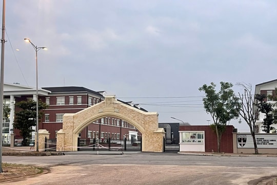 Trường quốc tế học phí 1,1 tỷ đồng bị đình chỉ tuyển sinh