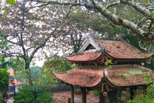 Không xây bảo tàng, ưu tiên bảo tồn giá trị gốc chùa Đọi Sơn