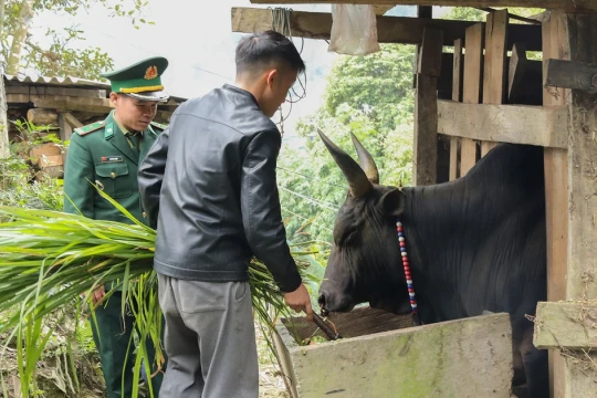 Bộ đội Biên phòng Nghệ An giữ ấm 'đầu cơ nghiệp' cho dân bản