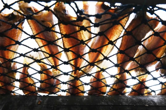 Mùa khô Tết rộn ràng trên đảo Hòn Sơn