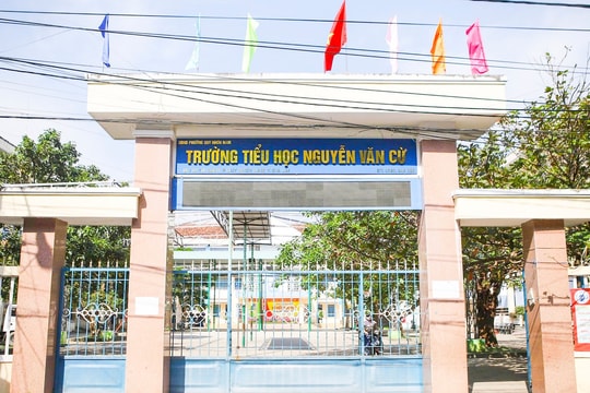 Tạm đình chỉ giáo viên Tiếng Anh bị tố sửa bài thi của nhiều học sinh