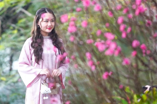 Chi tiết lịch nghỉ Tết Nguyên đán Bính Ngọ và các kỳ nghỉ dài trong năm 2026