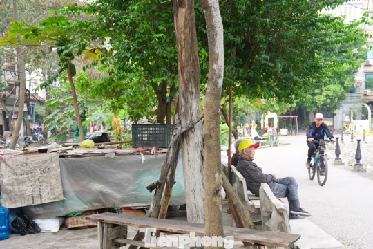 Công viên tại trung tâm Hà Nội bị hàng quán lấn chiếm, bãi cỏ thành nơi trồng rau