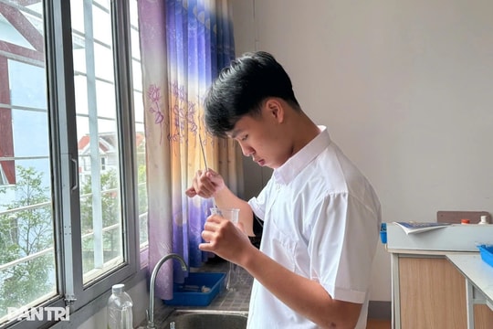 Cậu học trò "cú đêm" bền bỉ duy trì thành tích học sinh giỏi quốc gia