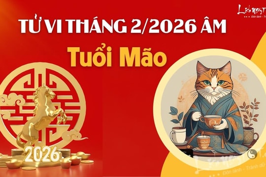 Tử vi tháng 2/2026 tuổi Mão âm lịch: Dễ bị tiểu nhân gài bẫy