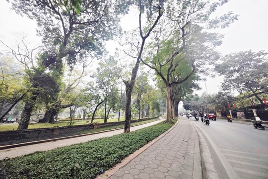 Phường Ba Đình hạ rào Công viên Bách Thảo