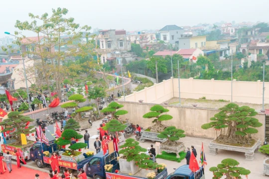 Lễ hội hoa - cây cảnh tái hiện Tết Việt và hồn cốt người Việt