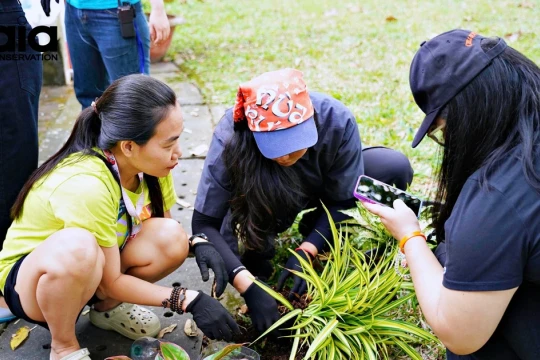 Hàng trăm cây xanh được tặng miễn phí cho người dân TPHCM dịp “Tết trồng cây”