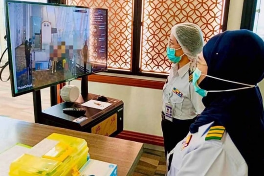 Từng phát hiện dấu vết virus Nipah ở dơi Việt Nam