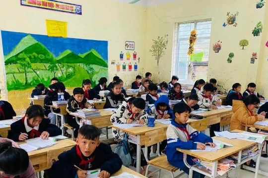 Sở GD&ĐT Tuyên Quang tăng cường tư vấn, hỗ trợ chuyên môn cấp tiểu học