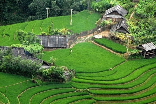 Gần 40 tình nguyện viên đăng ký tham gia chương trình Y4C- Thắp sáng tri thức 2026