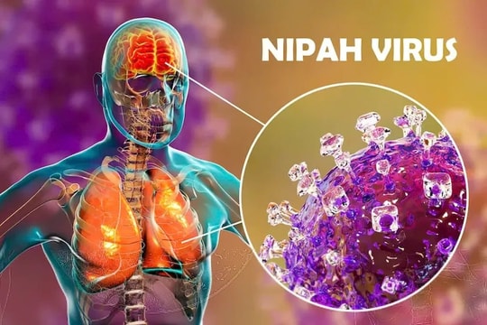 Bộ Ngoại giao thông tin về tình hình virus Nipah tại Việt Nam