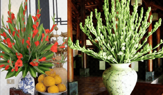 5 loại hoa NÊN trưng bàn thờ Tết: Giữ cát khí, tụ phúc lành, đón lộc đầu năm