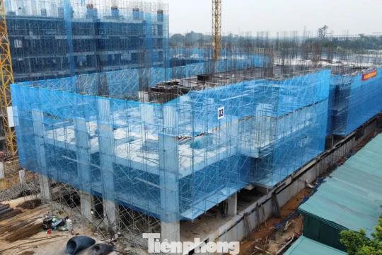 Hướng dẫn mới nhất xác nhận thu nhập mua nhà ở xã hội cho lao động tự do