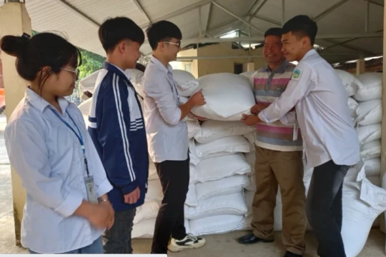 Phú Thọ hỗ trợ bổ sung hơn 38 tấn gạo cho học sinh vùng khó khăn