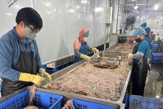 Hà Nội phát hiện kho lạnh với gần 60 tấn lòng lợn không rõ nguồn gốc